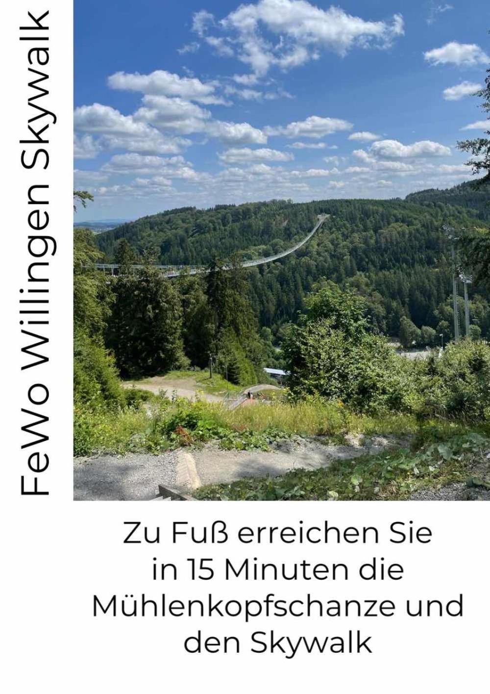 Fewo Skywalk Willingen Stryck Ngoại thất bức ảnh