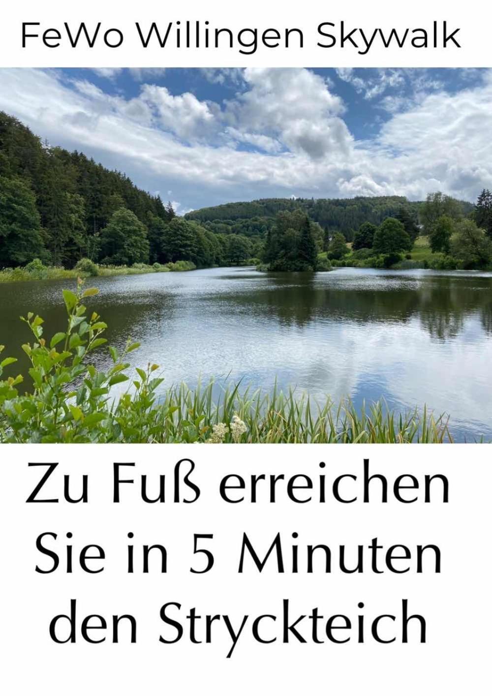 Fewo Skywalk Willingen Stryck Ngoại thất bức ảnh